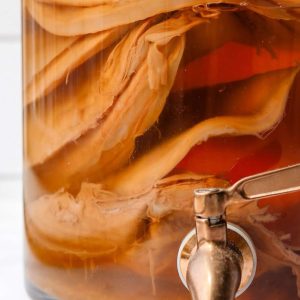 Kombucha Starter Tea Kit